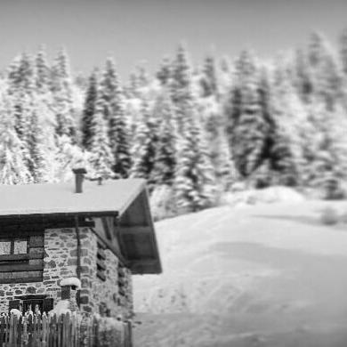 Chalet Lagorai Roncegno Eksteriør billede